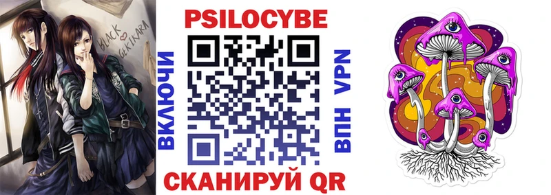 Галлюциногенные грибы Psilocybe  Купить где  Шарья 