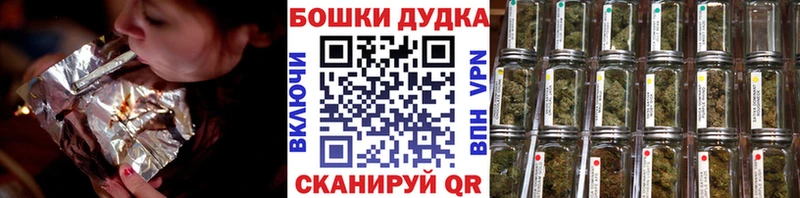 Купить где  Шарья  Марихуана план 